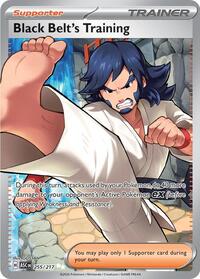 Black Belt's Training (Holofoil) English - ME: Ascended Heroes [Near Mint]