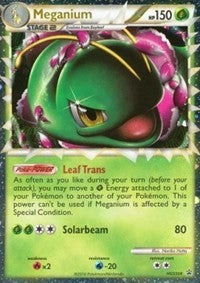 Meganium Prime HGSS08 English - HGSS Promos [Moderately Played]