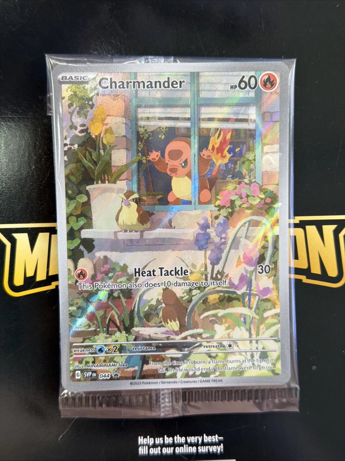 Charmander 044 Sv: Scarlet & Violet Promo Cards Holo Sealed English - Sealed Promo [Near Mint]