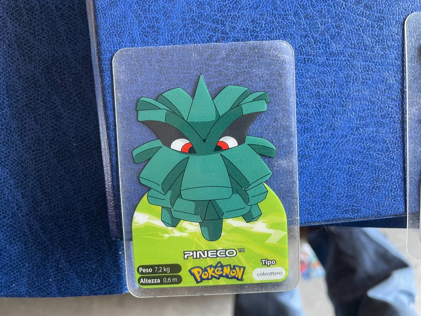 POKEMON EDIBAS 1995-2006 PINECO LAMINCARDS N 204 English - Lamincards [Near Mint]
